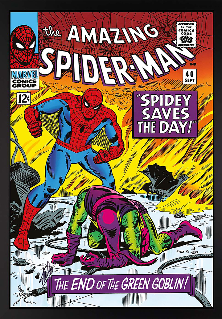 The Amazing Spider-Man: Spidey Saves The Day - signed by Stan Lee